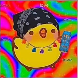 Meet your Posher, Avery